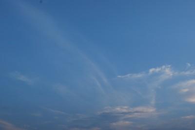 f:id:kumagoro_morino:20090803184116j:image f:id:kumagoro_morino:20090803184116j:image