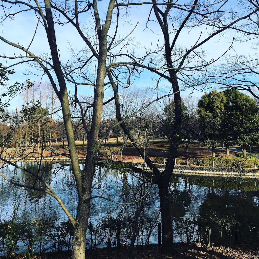 f:id:kumikotan:20160111220349j:image f:id:kumikotan:20160111220349j:image