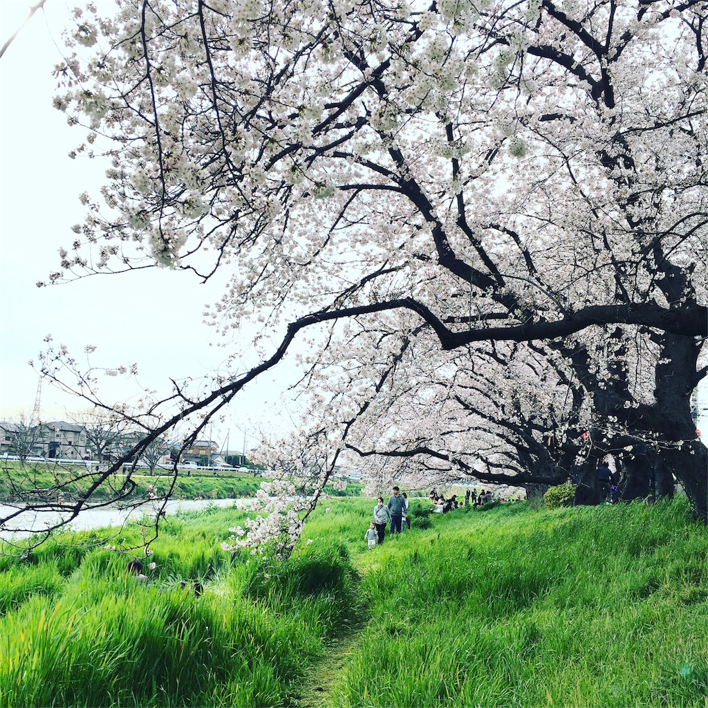 f:id:kumikotan:20160403214055j:image f:id:kumikotan:20160403214055j:image