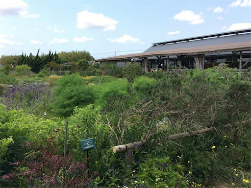 f:id:kumikotan:20160528215325j:image f:id:kumikotan:20160528215325j:image