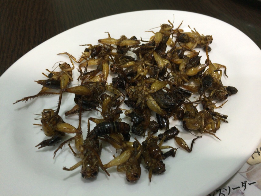 f:id:kun-maa:20160513191319j:plain f:id:kun-maa:20160513191319j:plain