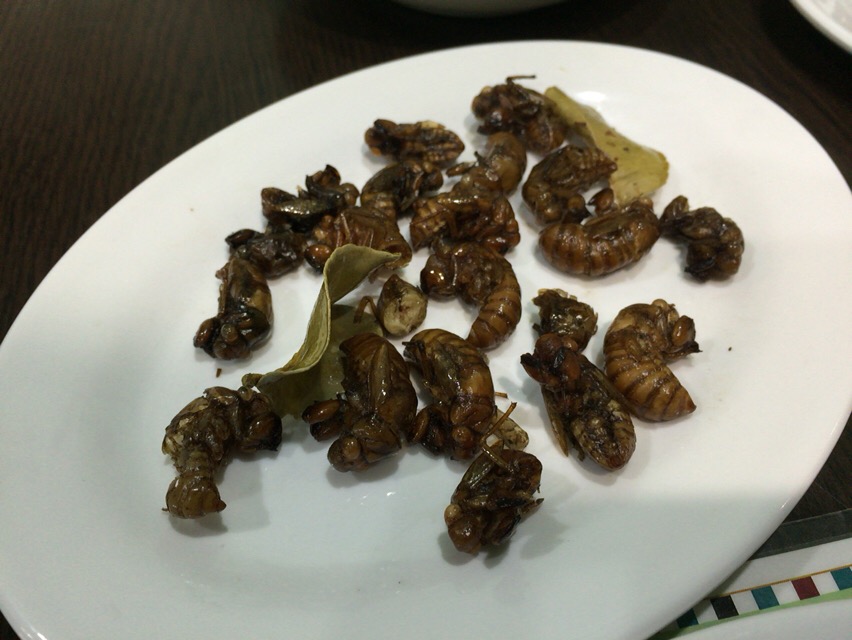 f:id:kun-maa:20160513191456j:plain f:id:kun-maa:20160513191456j:plain