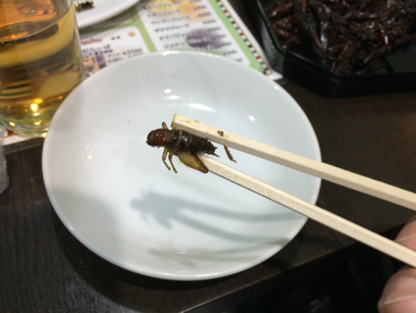 f:id:kun-maa:20160513192039j:plain f:id:kun-maa:20160513192039j:plain