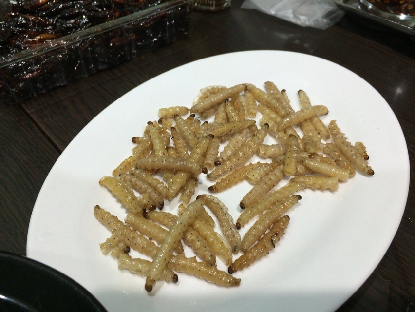 f:id:kun-maa:20160513205233j:plain f:id:kun-maa:20160513205233j:plain