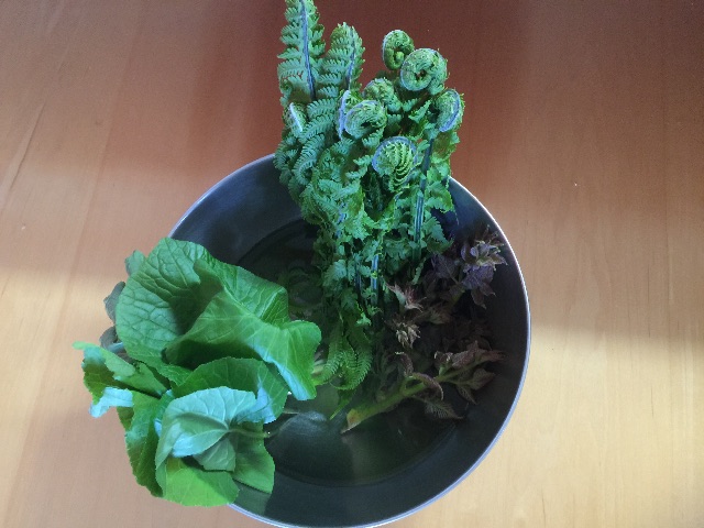 f:id:kuniikatsuhiro921:20150519231407j:image f:id:kuniikatsuhiro921:20150519231407j:image