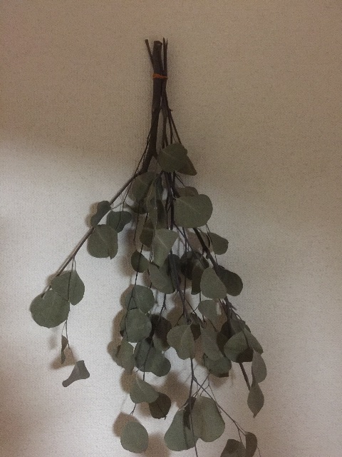 f:id:kuniikatsuhiro921:20150528021435j:image f:id:kuniikatsuhiro921:20150528021435j:image