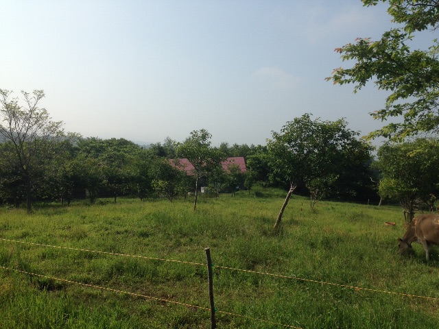 f:id:kuniikatsuhiro921:20150530012548j:image f:id:kuniikatsuhiro921:20150530012548j:image