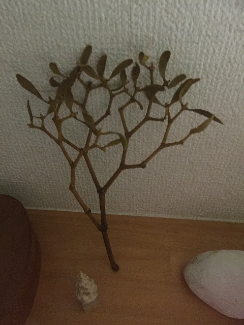 f:id:kuniikatsuhiro921:20150531234138j:image f:id:kuniikatsuhiro921:20150531234138j:image