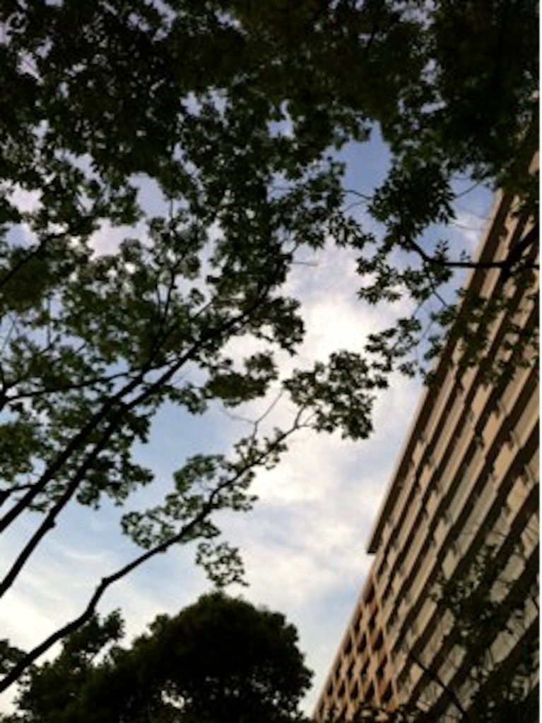 f:id:kuniikatsuhiro921:20150806005258j:image f:id:kuniikatsuhiro921:20150806005258j:image