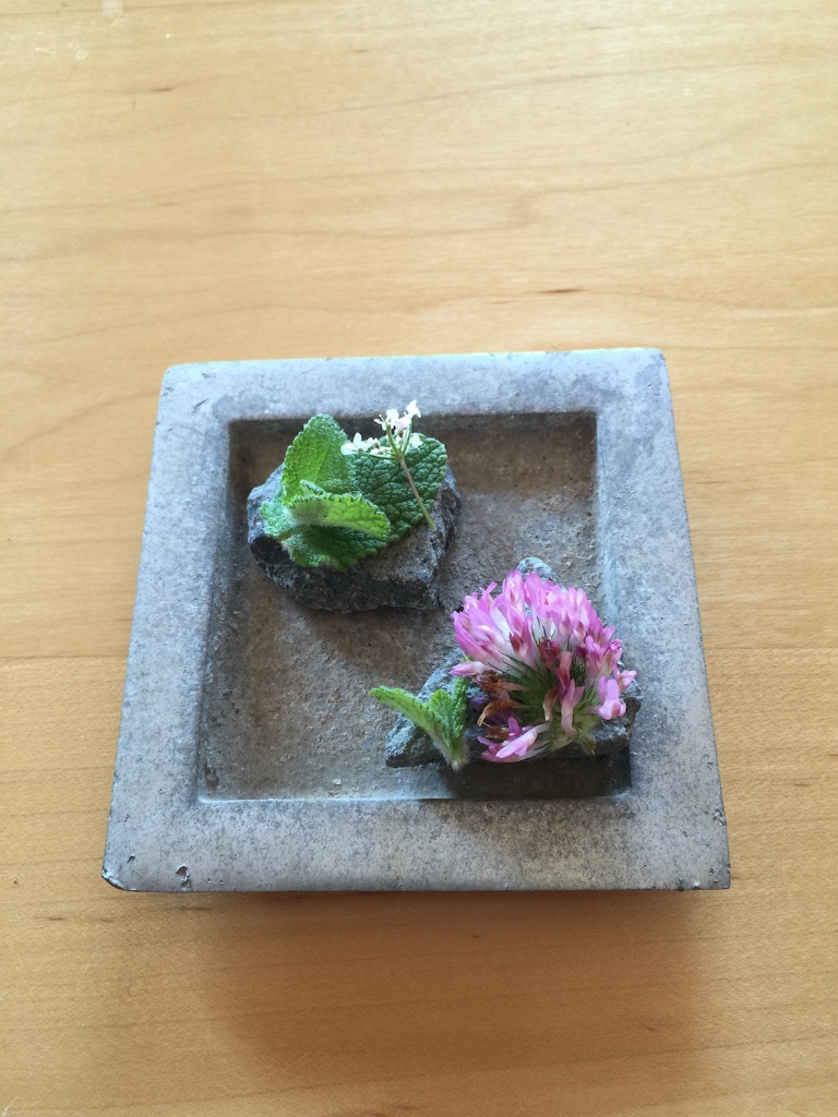 f:id:kuniikatsuhiro921:20151118232848j:image f:id:kuniikatsuhiro921:20151118232848j:image