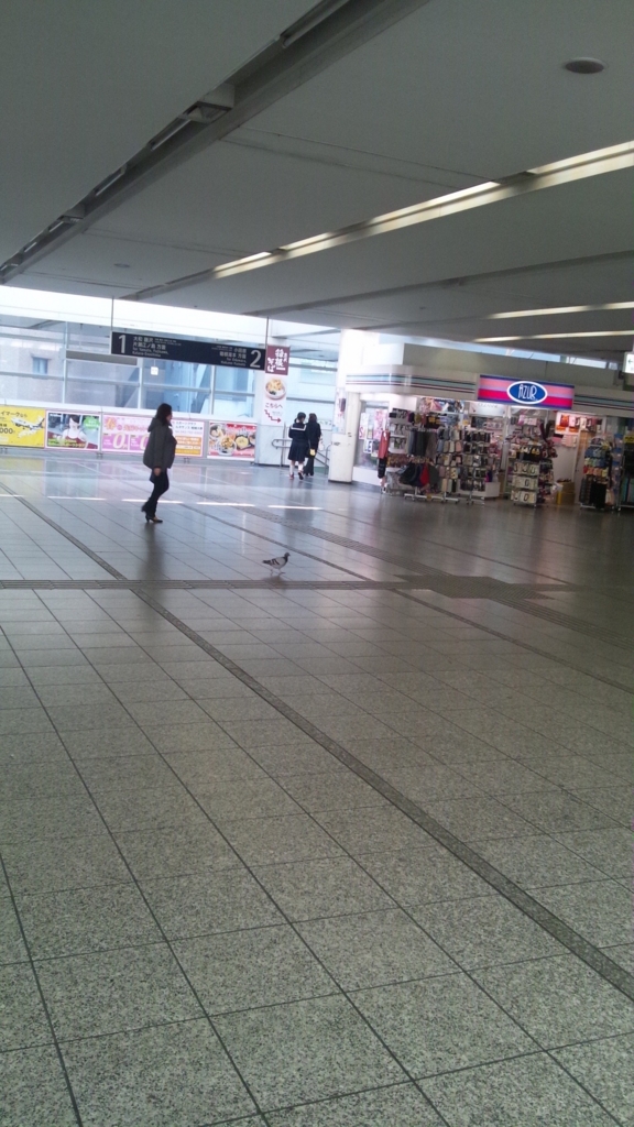 f:id:kurischool:20150728235139j:plain f:id:kurischool:20150728235139j:plain