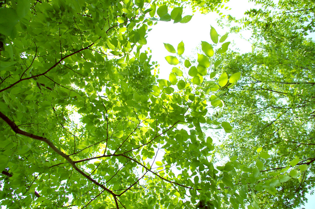 f:id:kurischool:20150827163553j:plain f:id:kurischool:20150827163553j:plain