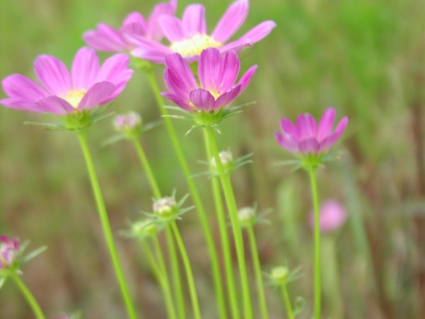 f:id:kuroandy:20100914132409j:plain f:id:kuroandy:20100914132409j:plain