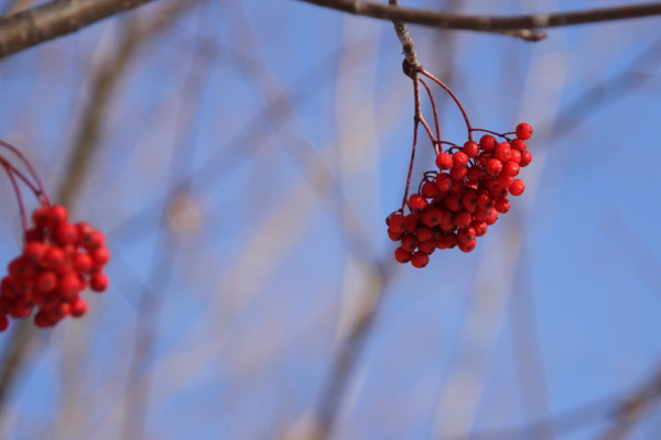 f:id:kuroandy:20141118142038j:plain f:id:kuroandy:20141118142038j:plain