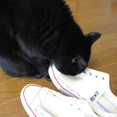 f:id:kuroandy:20150525084712j:plain f:id:kuroandy:20150525084712j:plain