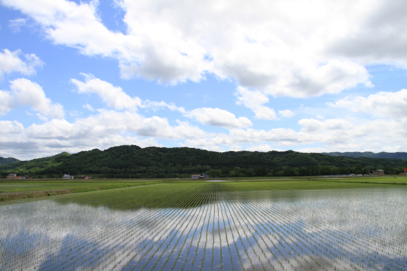 f:id:kuroandy:20150606125356j:plain f:id:kuroandy:20150606125356j:plain