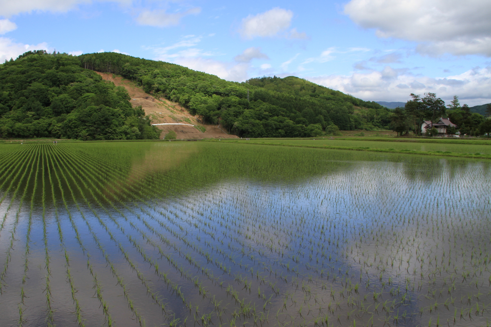 f:id:kuroandy:20150606125830j:plain f:id:kuroandy:20150606125830j:plain