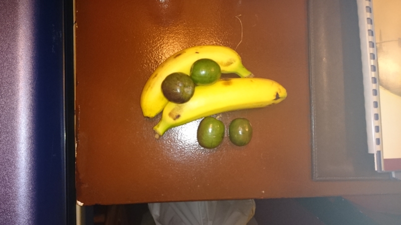 f:id:kuroiwa2013:20160506212638j:plain f:id:kuroiwa2013:20160506212638j:plain