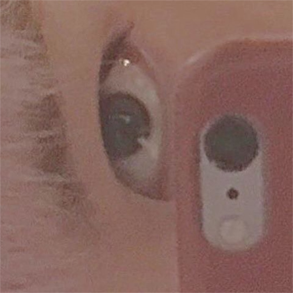 f:id:kuromiii:20160123191650j:image f:id:kuromiii:20160123191650j:image
