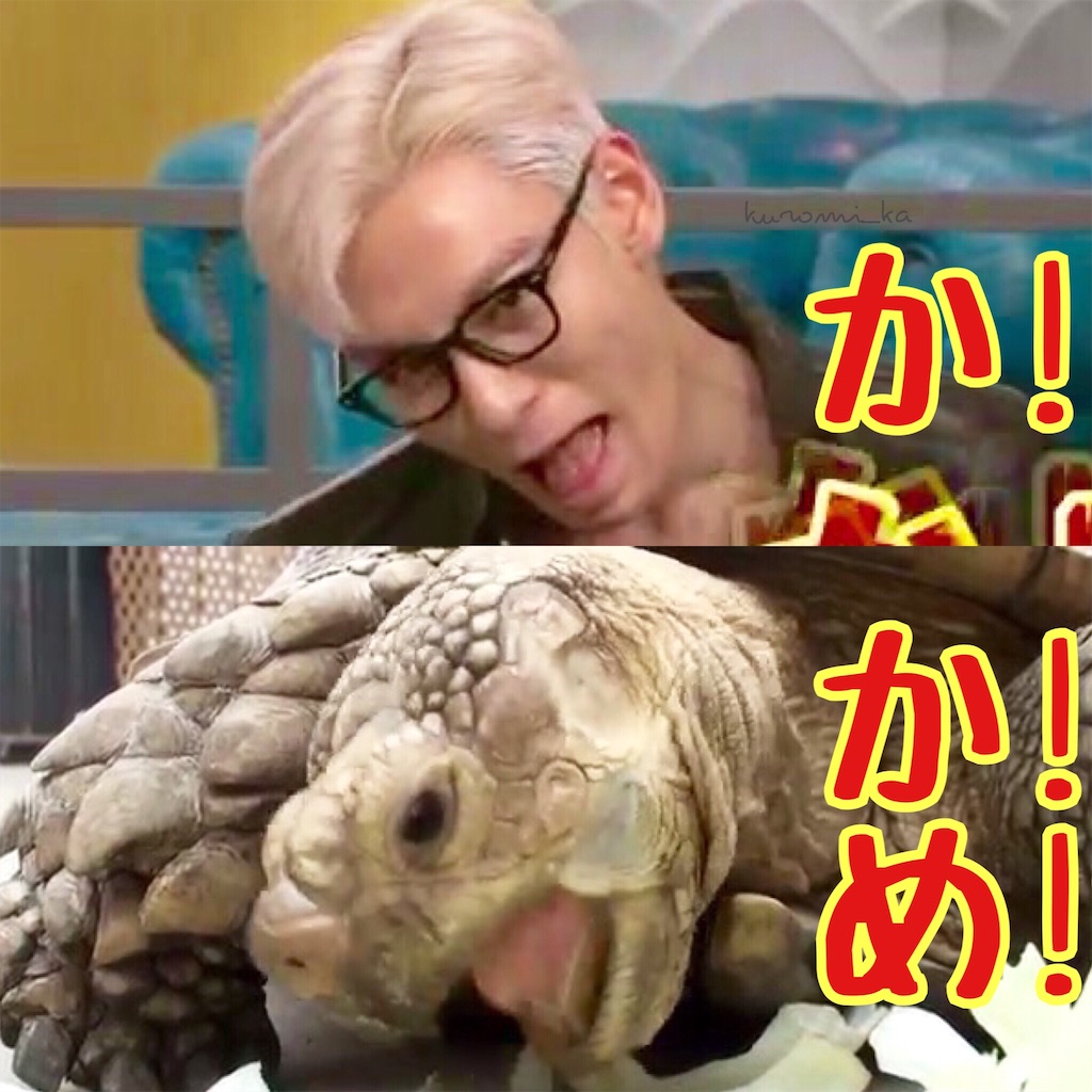 f:id:kuromiii:20160209210552j:image f:id:kuromiii:20160209210552j:image