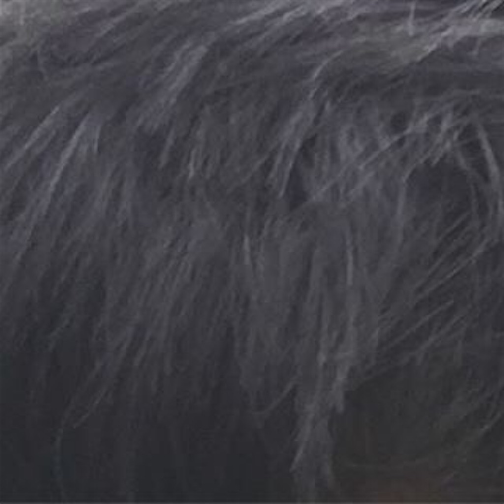 f:id:kuromiii:20160405060144j:image f:id:kuromiii:20160405060144j:image
