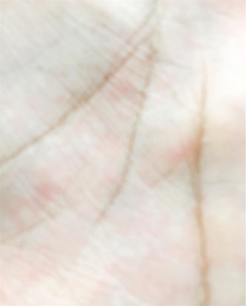 f:id:kuromiii:20160405061455j:image f:id:kuromiii:20160405061455j:image