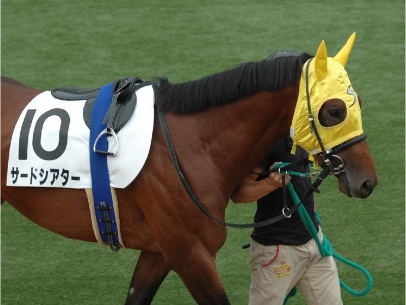 f:id:kurosuke-keiba:20111002144844j:image:w400 f:id:kurosuke-keiba:20111002144844j:image:w400