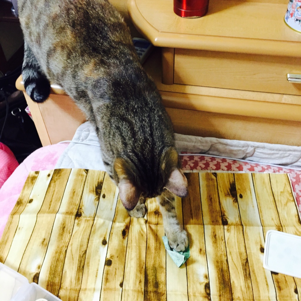 f:id:kurozi96:20151104203542j:image f:id:kurozi96:20151104203542j:image