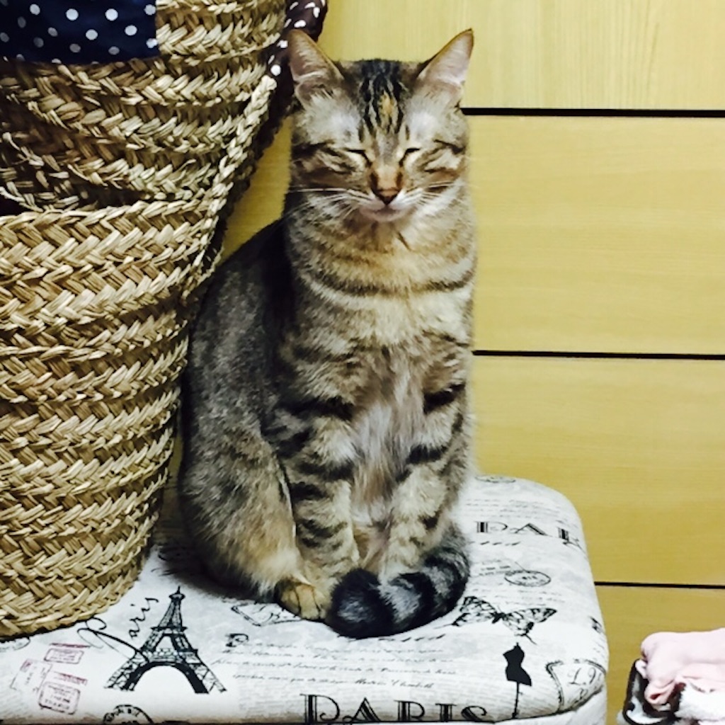 f:id:kurozi96:20151104203714j:image f:id:kurozi96:20151104203714j:image
