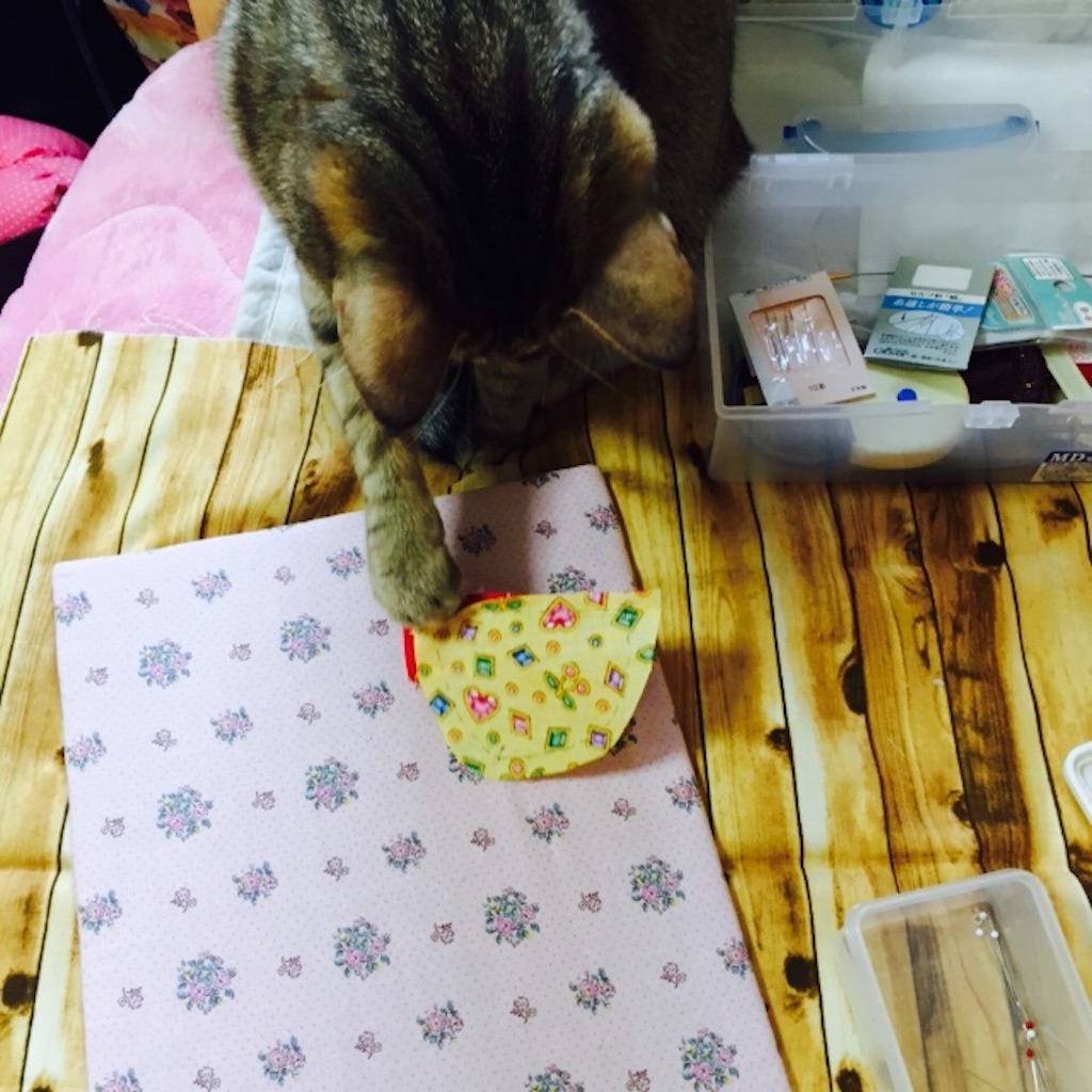 f:id:kurozi96:20151106091148j:image f:id:kurozi96:20151106091148j:image