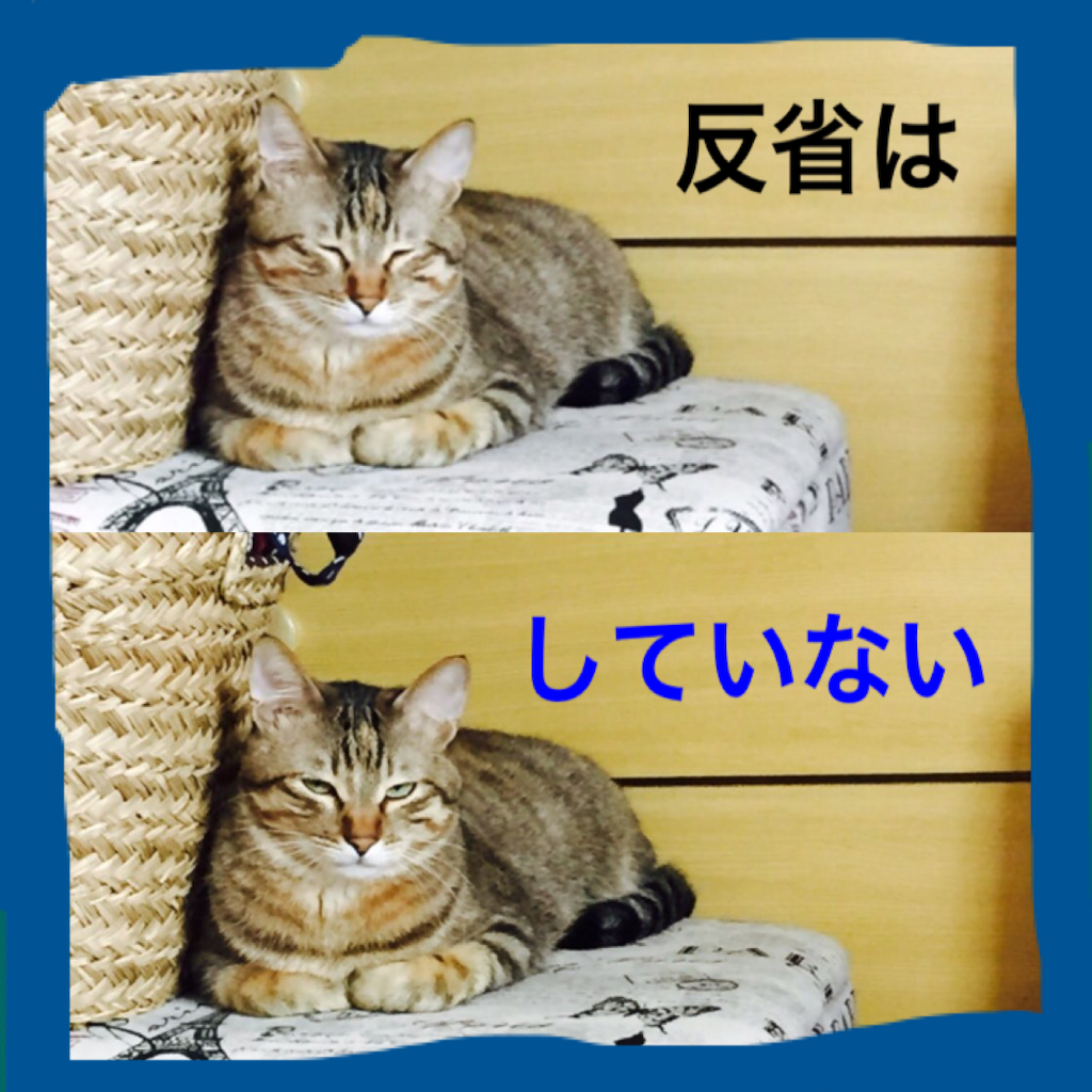 f:id:kurozi96:20151106091258p:image f:id:kurozi96:20151106091258p:image