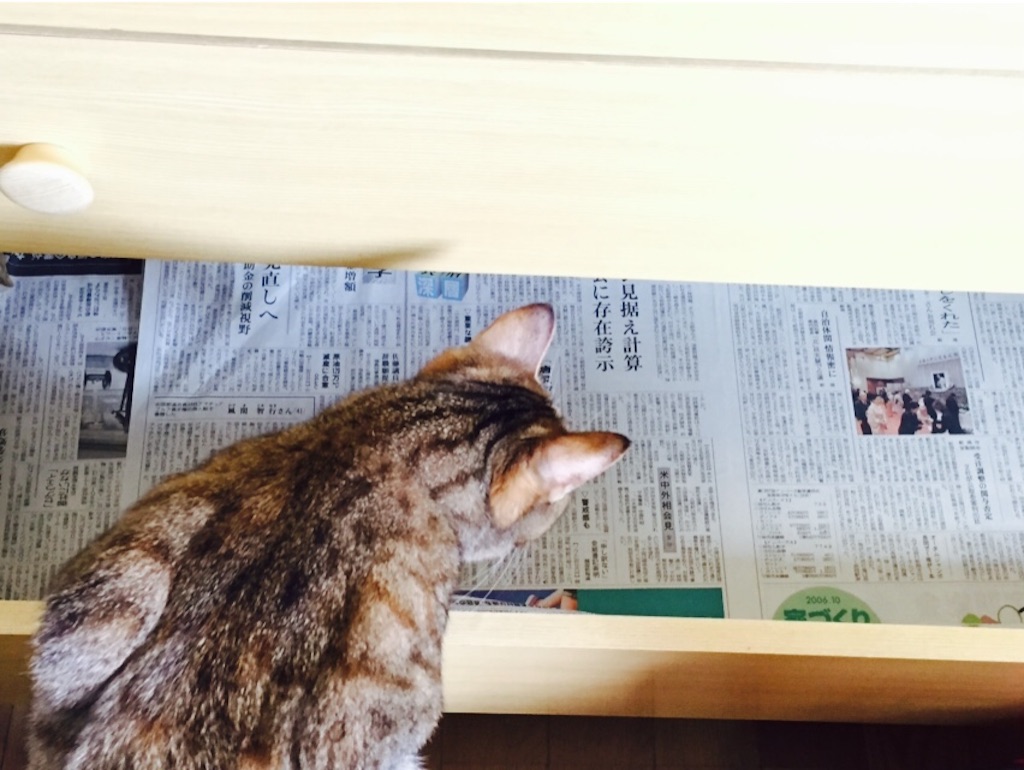 f:id:kurozi96:20151117103312j:image f:id:kurozi96:20151117103312j:image