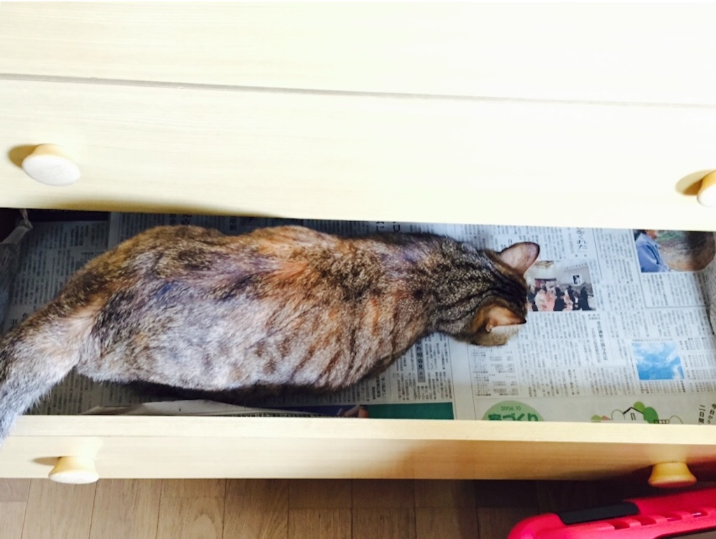 f:id:kurozi96:20151117103336j:image f:id:kurozi96:20151117103336j:image