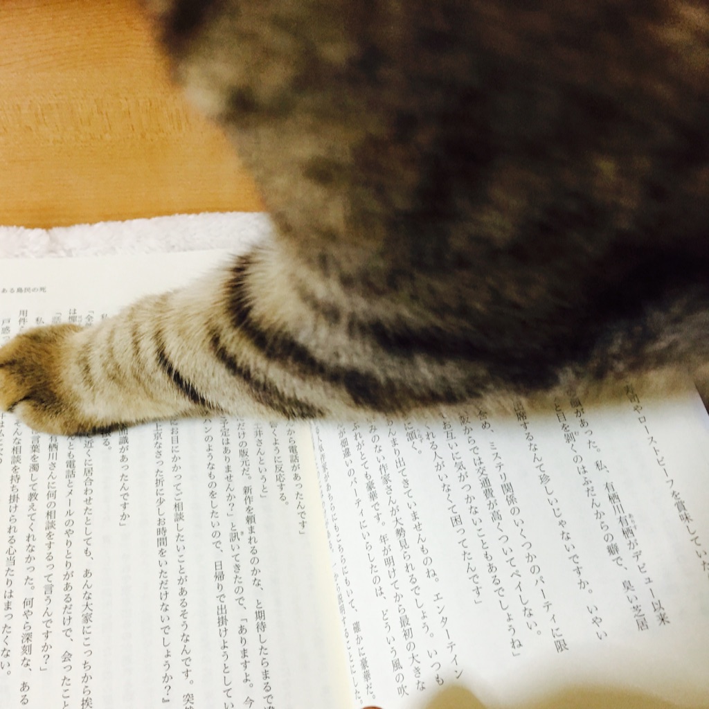 f:id:kurozi96:20151203194600j:image f:id:kurozi96:20151203194600j:image