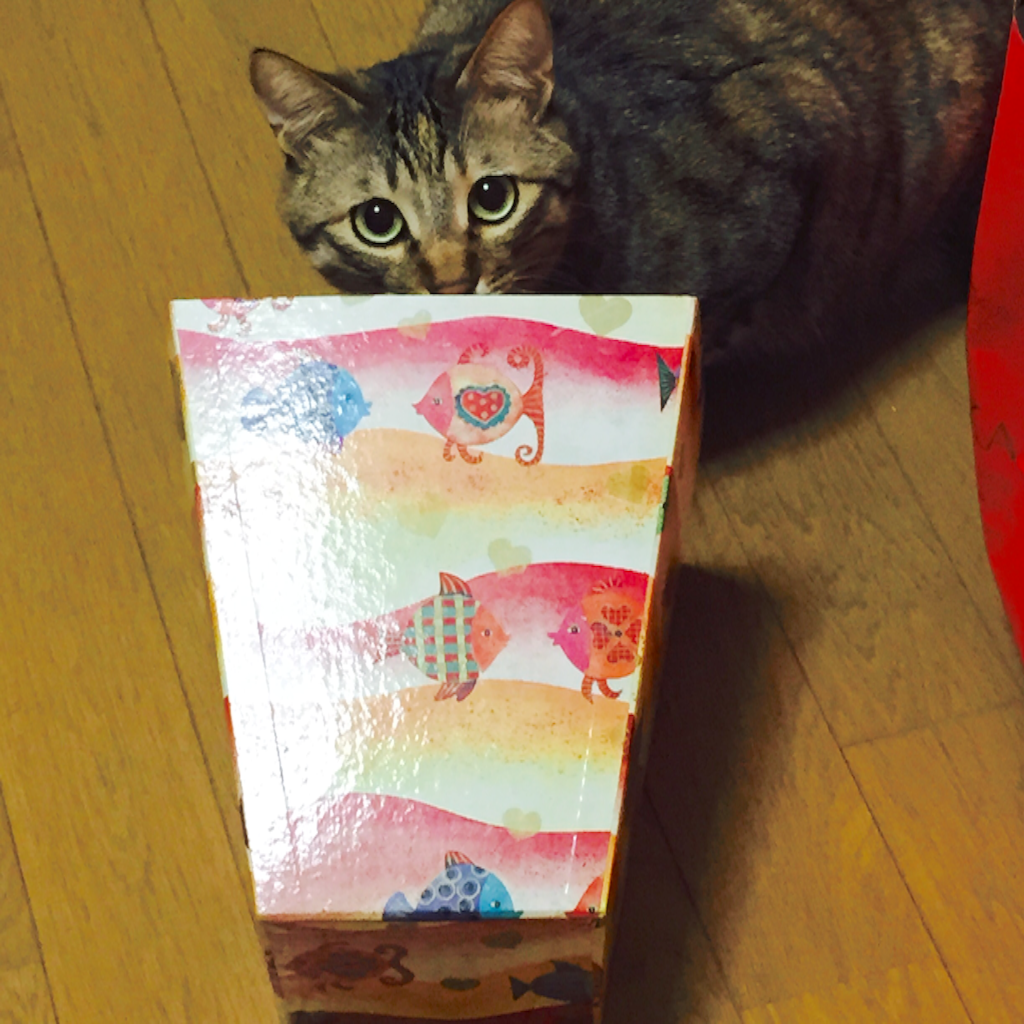 f:id:kurozi96:20151205223015p:image f:id:kurozi96:20151205223015p:image
