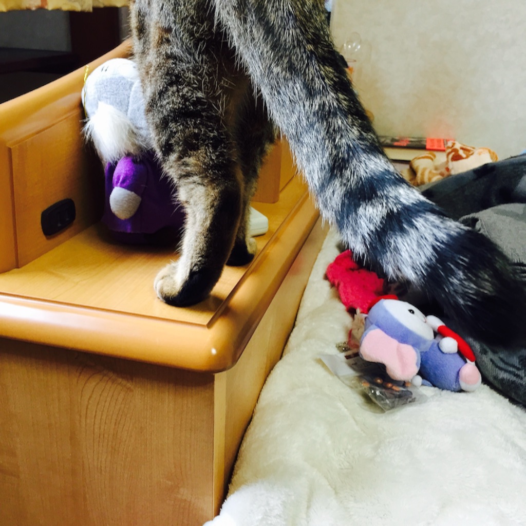 f:id:kurozi96:20151215171400j:image f:id:kurozi96:20151215171400j:image