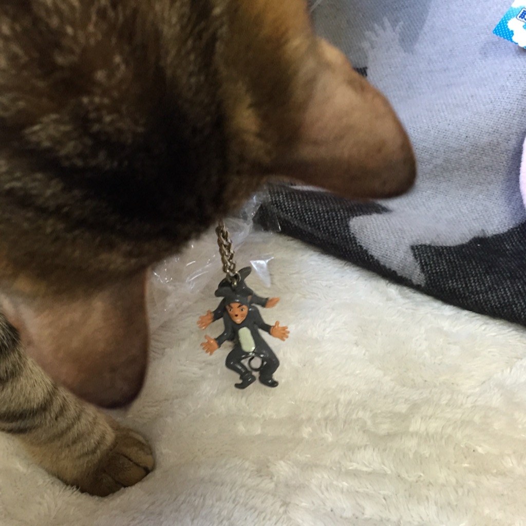 f:id:kurozi96:20151215180741j:image f:id:kurozi96:20151215180741j:image