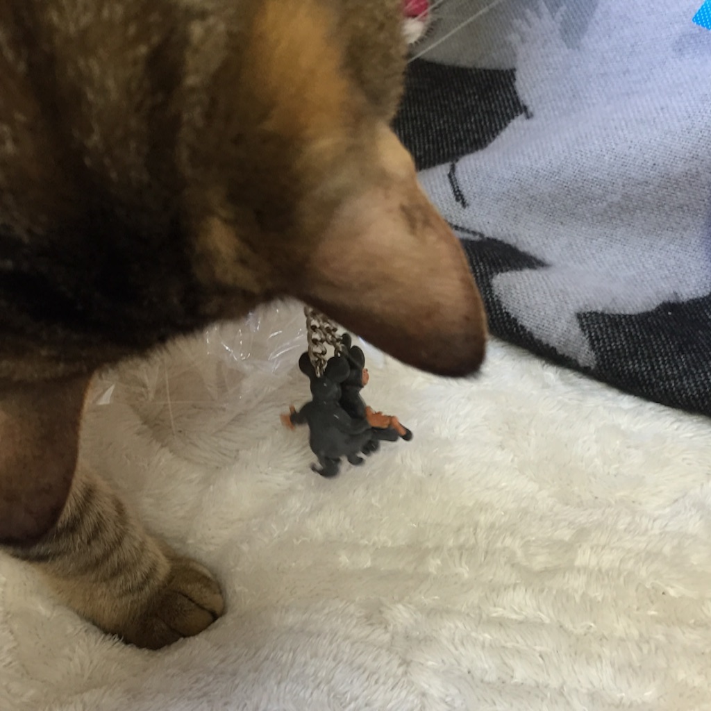 f:id:kurozi96:20151215180845j:image f:id:kurozi96:20151215180845j:image