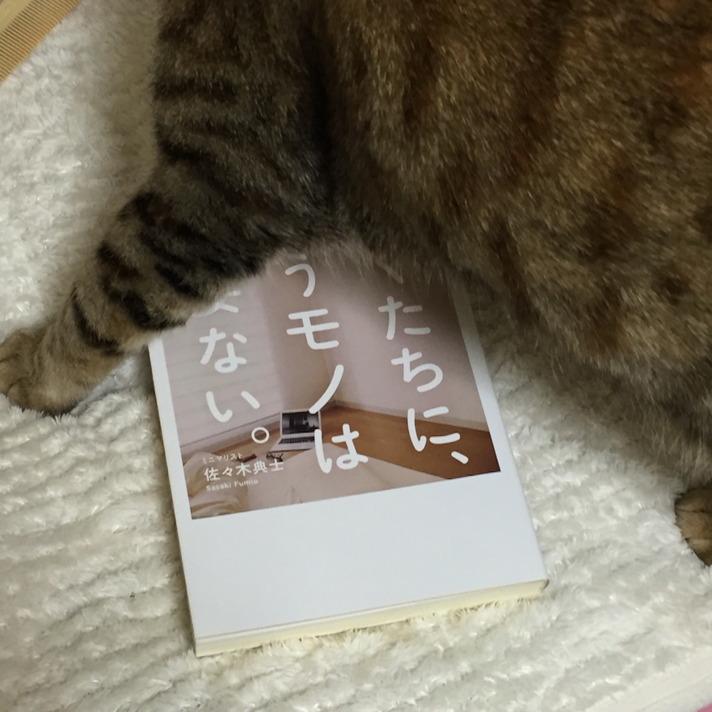f:id:kurozi96:20151217231437j:image f:id:kurozi96:20151217231437j:image