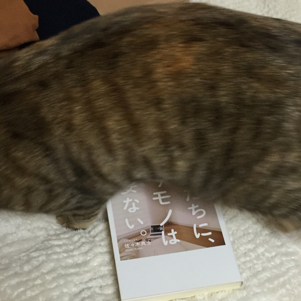 f:id:kurozi96:20151217231447j:image f:id:kurozi96:20151217231447j:image