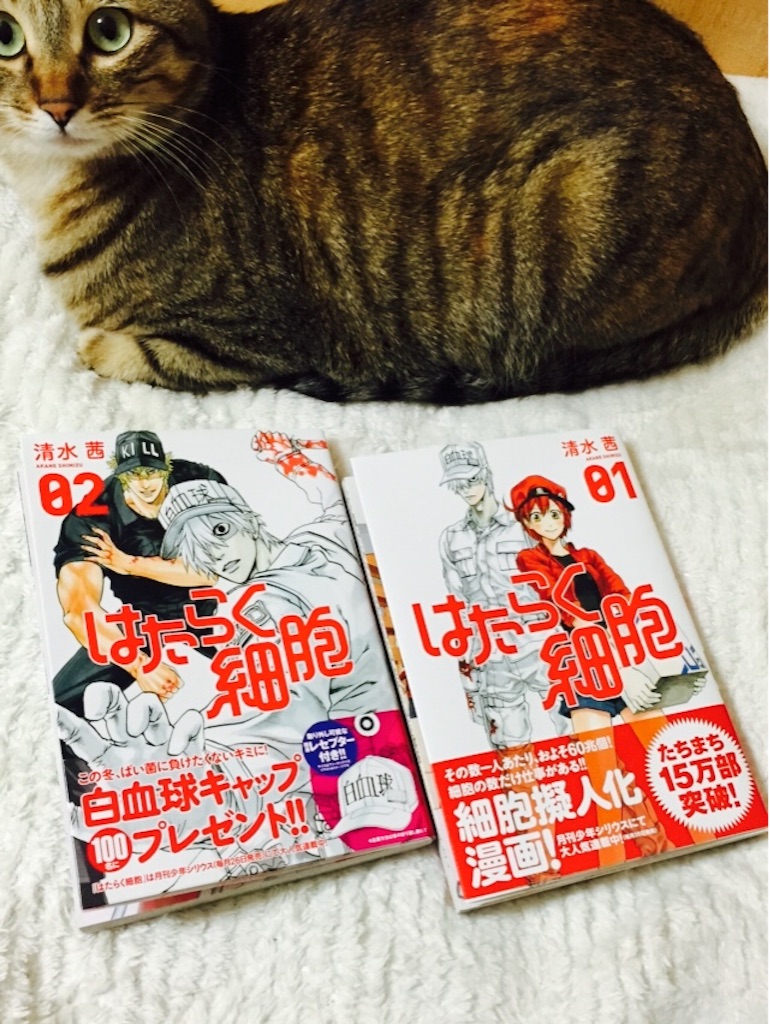 f:id:kurozi96:20151222210108j:image f:id:kurozi96:20151222210108j:image