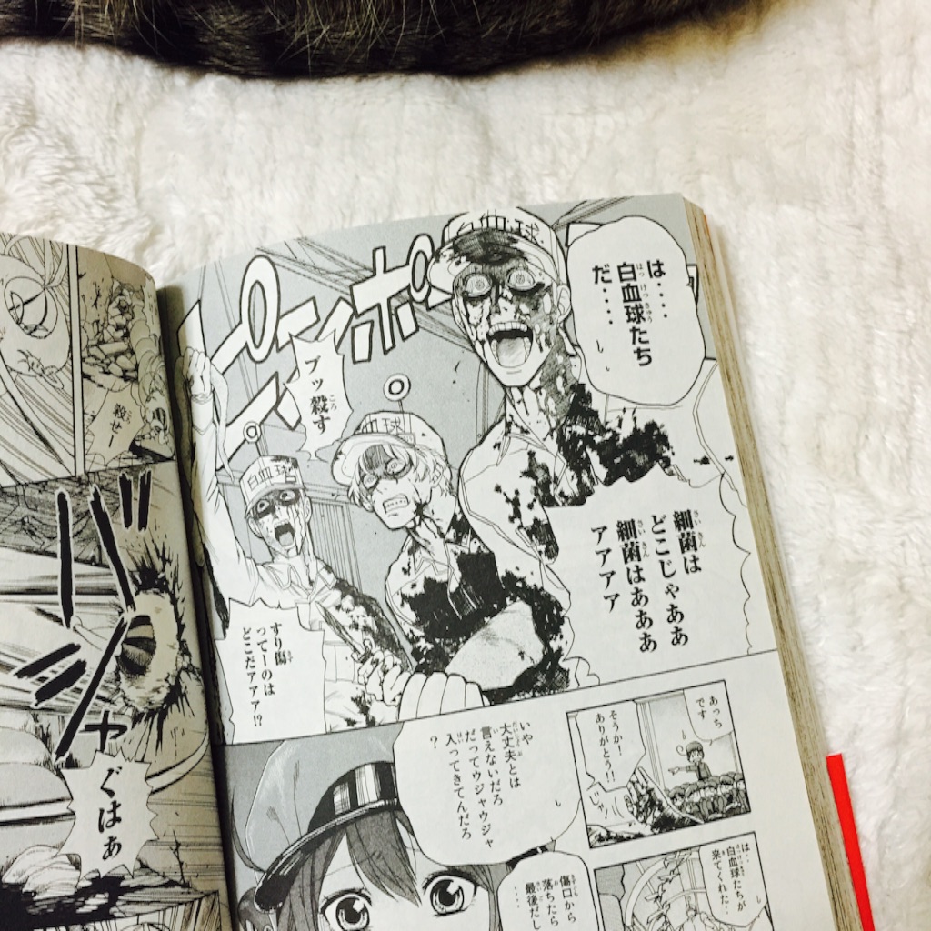 f:id:kurozi96:20151222210232j:image f:id:kurozi96:20151222210232j:image