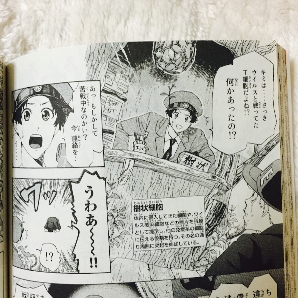f:id:kurozi96:20151222213744j:image f:id:kurozi96:20151222213744j:image