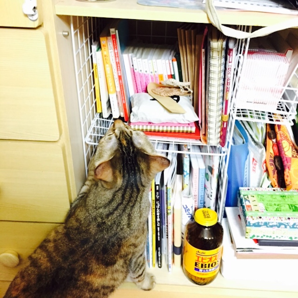 f:id:kurozi96:20160204165545j:image f:id:kurozi96:20160204165545j:image