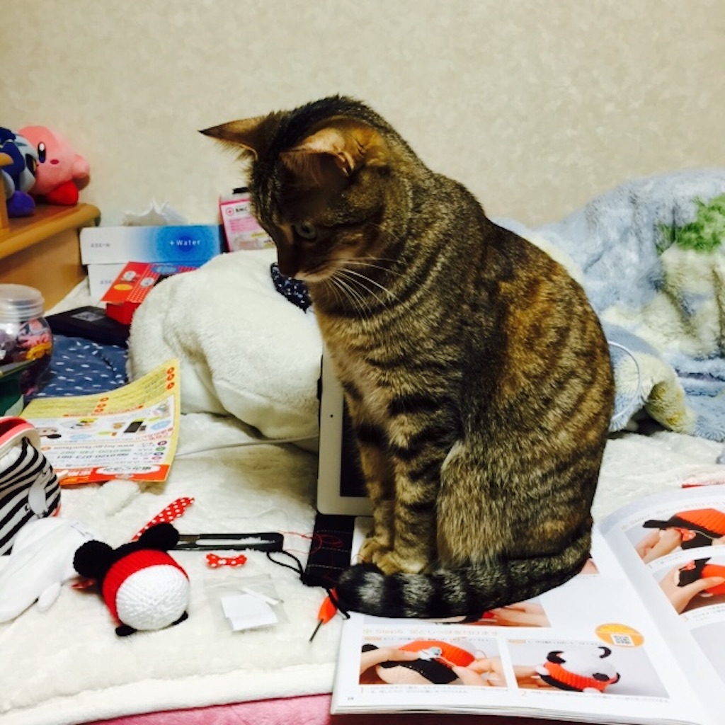 f:id:kurozi96:20160225231212j:image f:id:kurozi96:20160225231212j:image