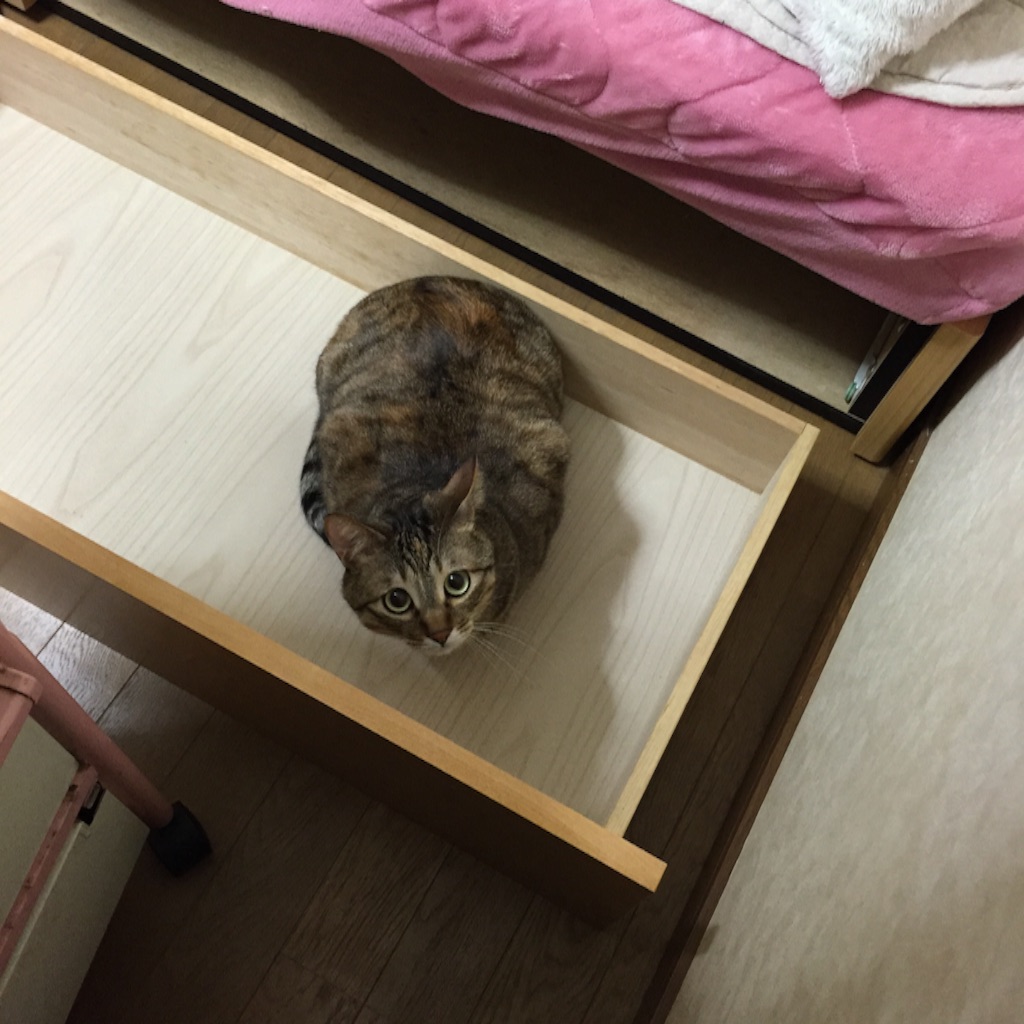 f:id:kurozi96:20160418223426j:image f:id:kurozi96:20160418223426j:image