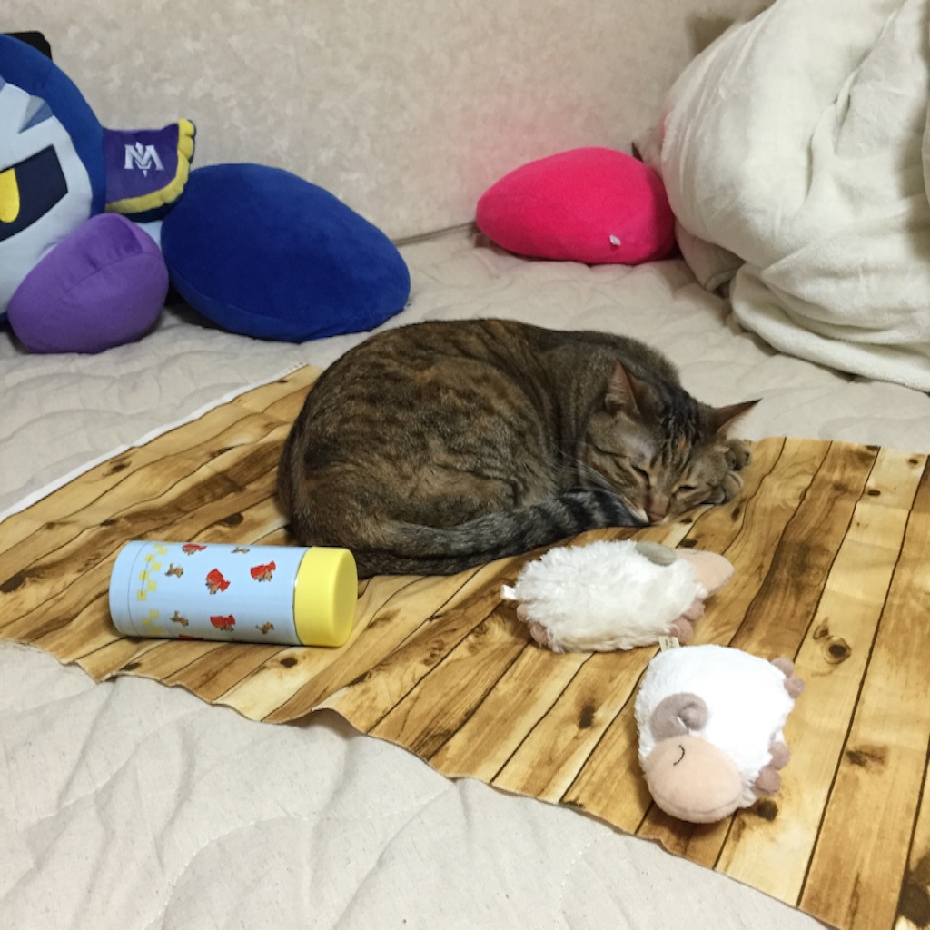 f:id:kurozi96:20160530204711j:image f:id:kurozi96:20160530204711j:image