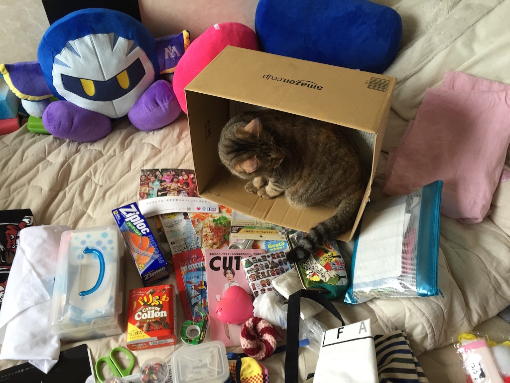 f:id:kurozi96:20160613163126j:image f:id:kurozi96:20160613163126j:image