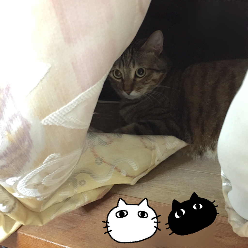 f:id:kurozi96:20160717133138p:image f:id:kurozi96:20160717133138p:image