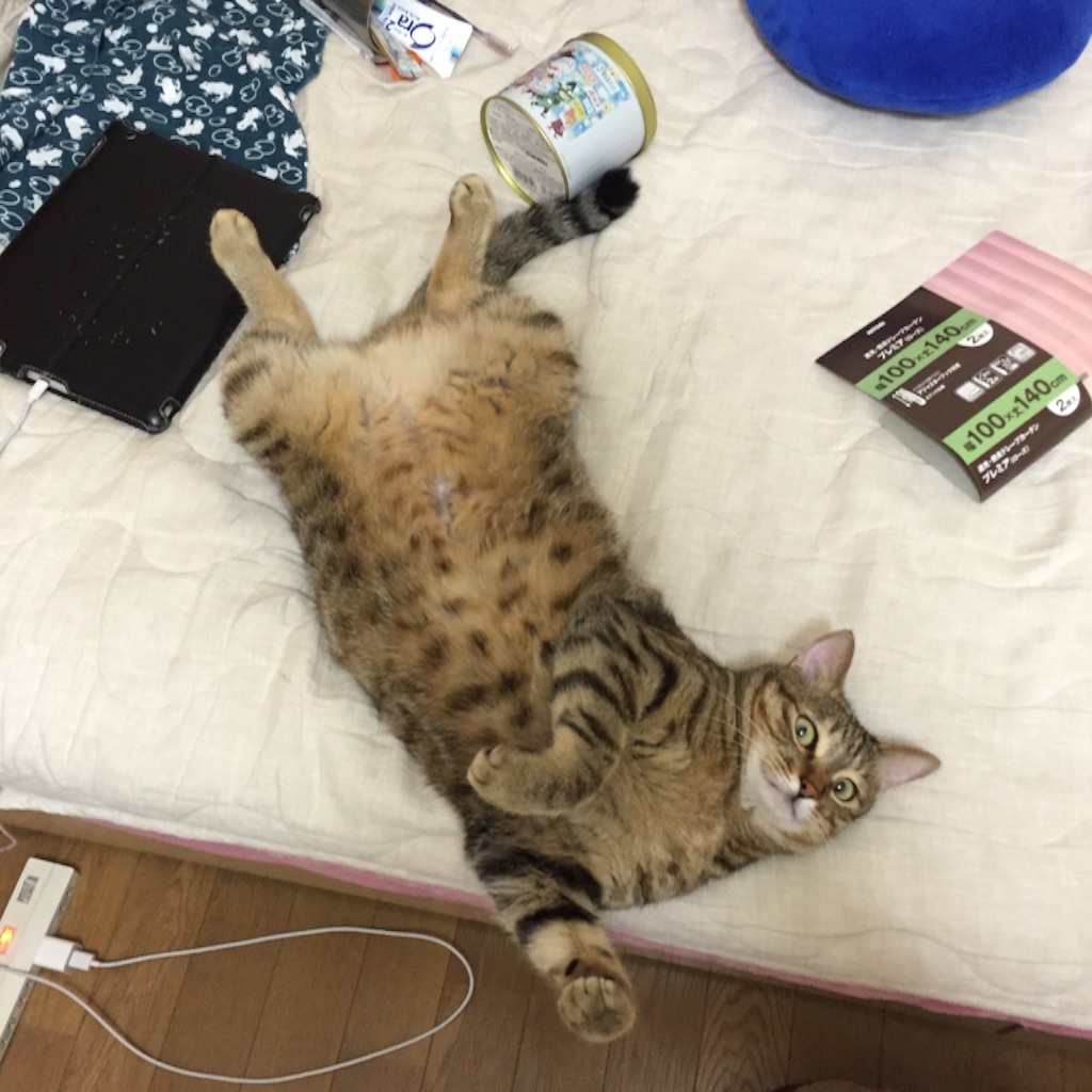 f:id:kurozi96:20160719091948j:image f:id:kurozi96:20160719091948j:image